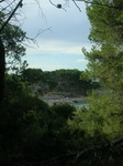 Playa del Portixol entre los pinos