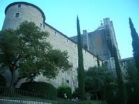 La Catedral de Girona desde el carrer del Rei Ferrn el catolic
