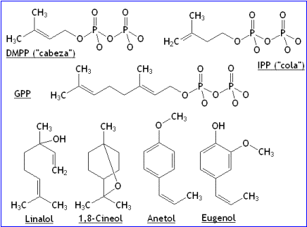 Alcaloides y esteroides naturales