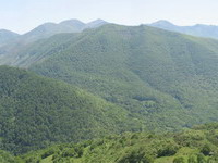 Panormica del Monte de la Viliella, en Cangas del Narcea, forma parte del Bosque de Muniellos